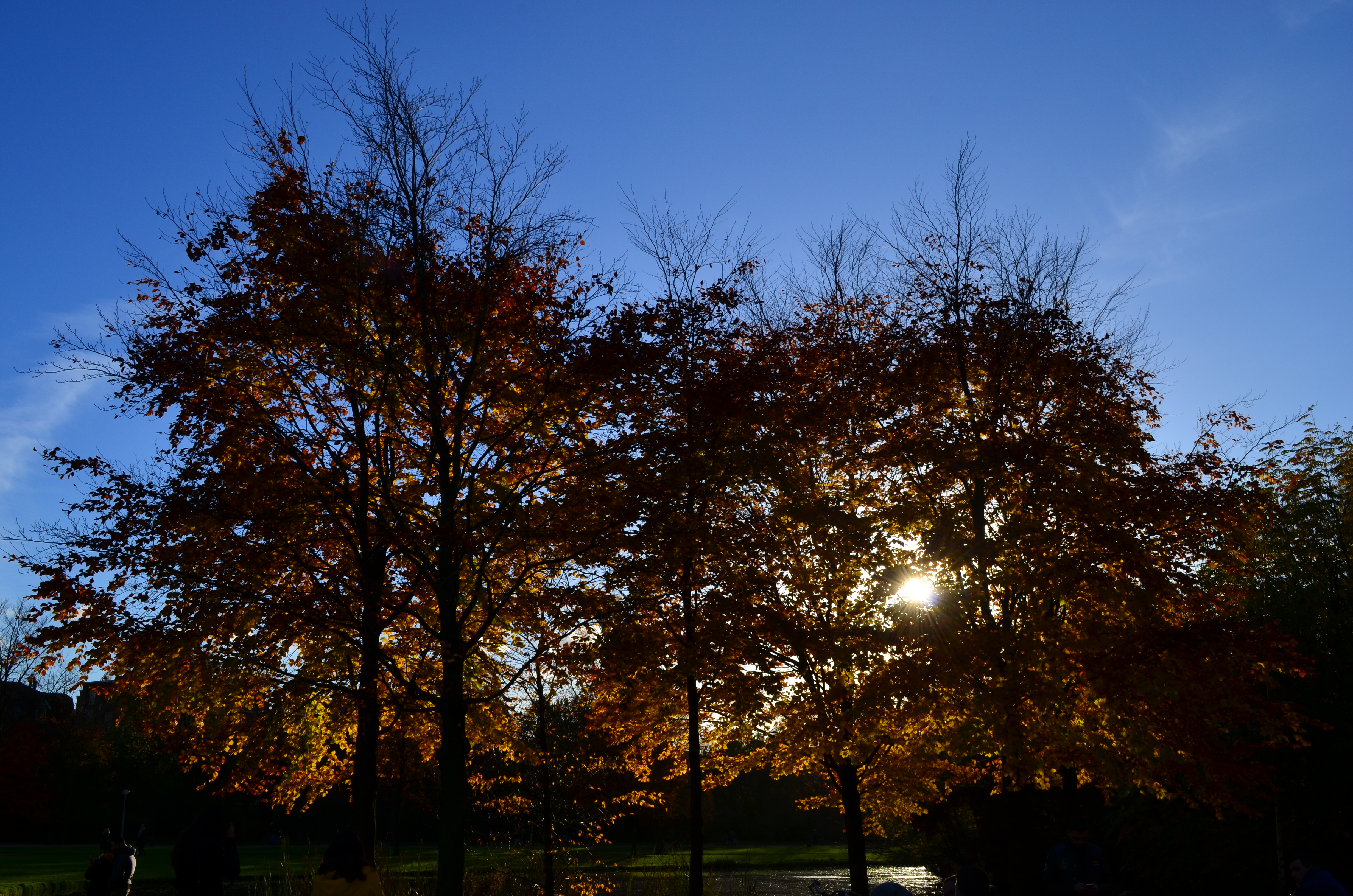 ./2017/19 - Viking Lif/13 - Amsterdam, The Netherlands/DSC_0614.JPG